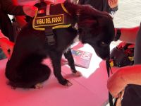 protezionecivile12